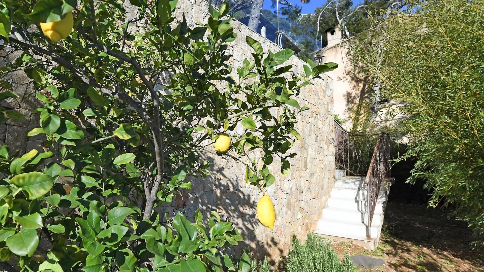 Villa Laetitia Private Pool - Happy Rentals Roquebrune-Cap-Martin
